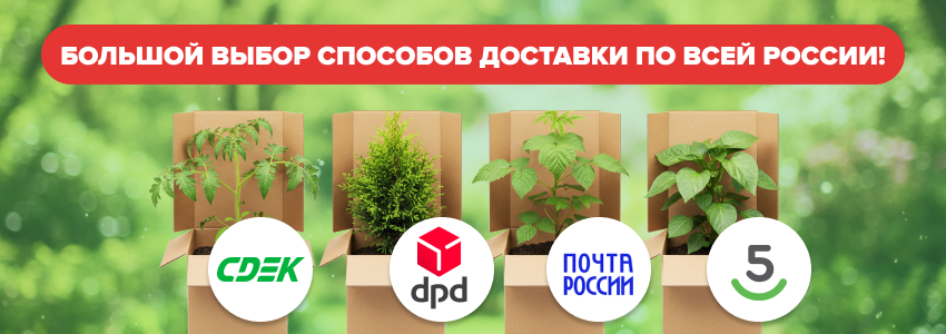 Доставка по всей России