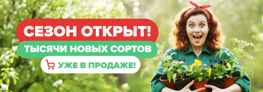 Сезон открыт!